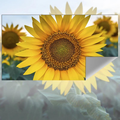 VisionGo™ - Draagbare projectie scherm